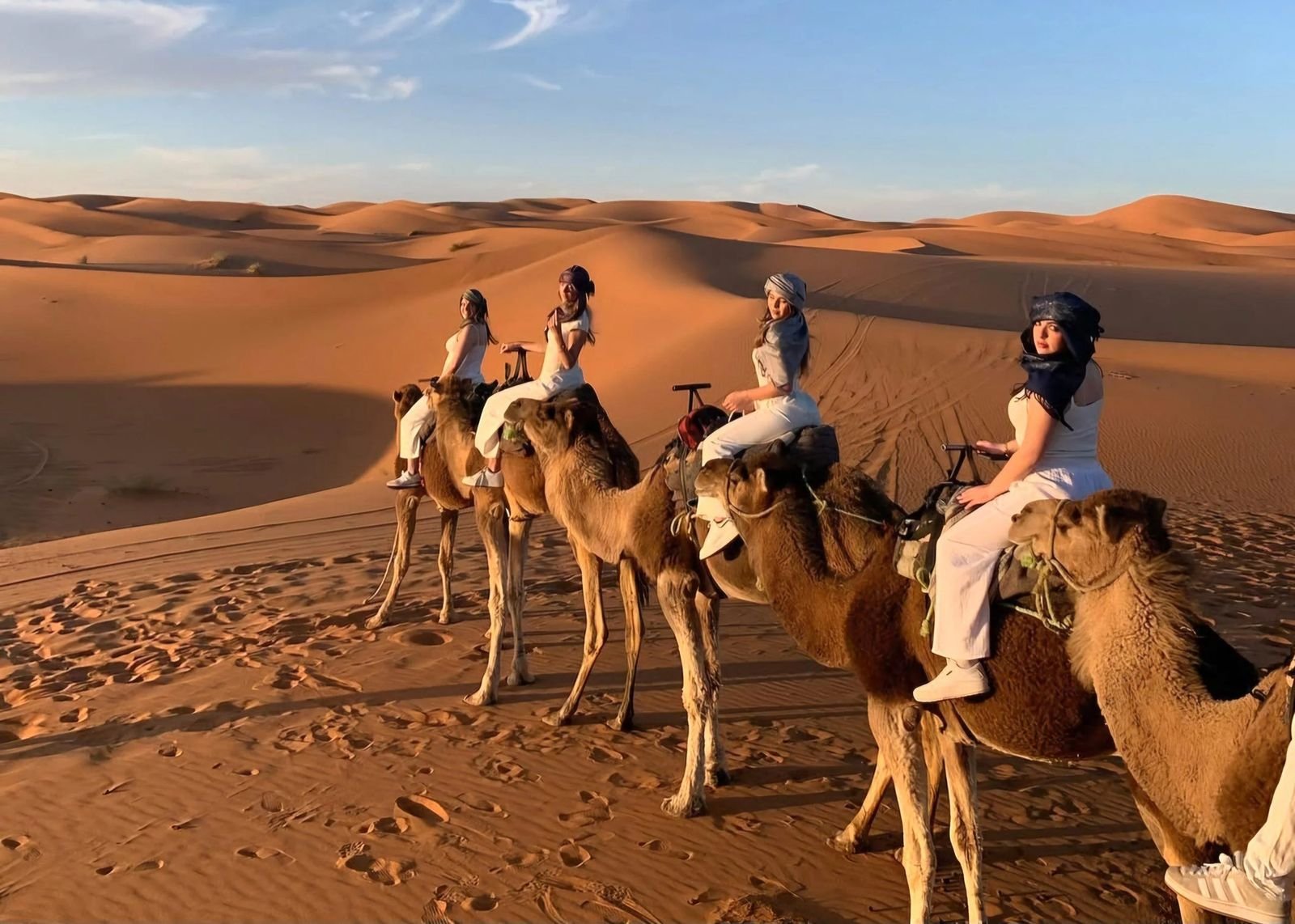 Camel trek across the Sahara dunes at sunset