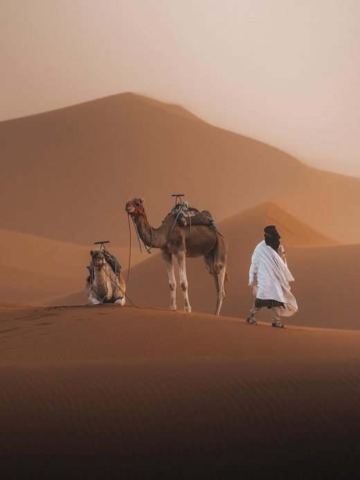 5-Day Casablanca Tour: Fez & the Sahara